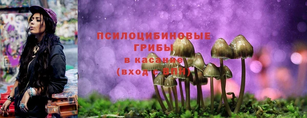 PSILOCYBIN Алзамай